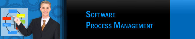 software-process-management